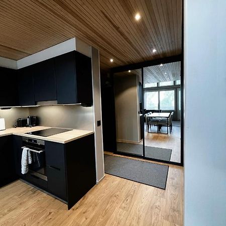 Levin Kunkku B Penthouse Aparthotel Exterior photo